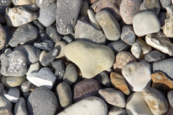 Pietre di ghiaia sulla spiaggia del Mare del Nord. — Foto Stock