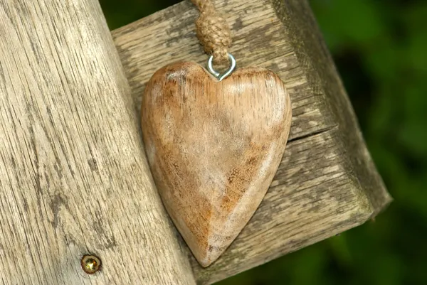 Cuore di legno — Foto Stock