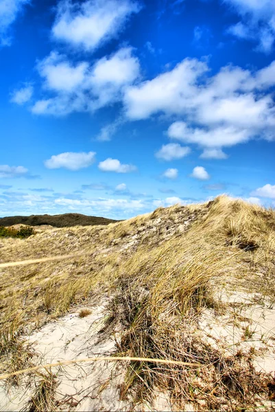 Dunes in Denmark — Stock Photo, Image