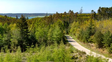 Danimarka 'nın kuzey kıyısındaki Ulusal Park