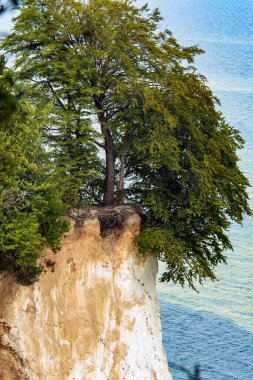 Danimarka 'daki Moen adasının kayalıkları 