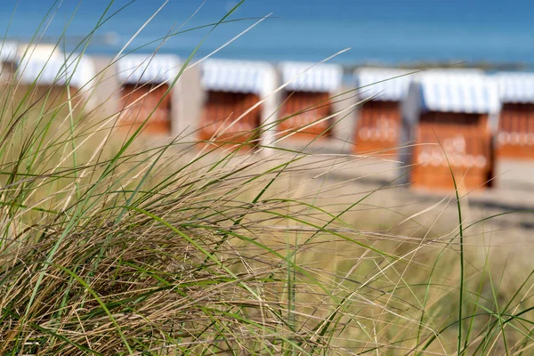 Zielone Trawy Niewyraźne Krzesła Plażowe Tle Wybrzeżu Morza Bałtyckiego — Zdjęcie stockowe