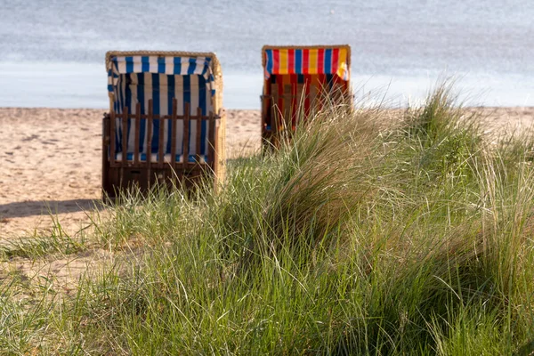 Gramíneas Verdes Cadeiras Praia Borradas Fundo Costa Baltica Mar — Fotografia de Stock