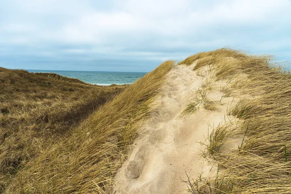 Danimarka Kuzey Denizi Kıyısındaki Ulusal Parkı — Stok fotoğraf