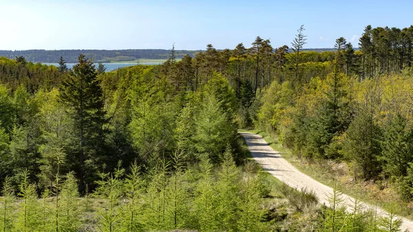 Danimarka 'nın kuzey kıyısındaki Ulusal Park