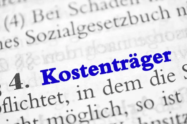 Zahlungspflichtig Aus Dem Sozialgesetzbuch Blaue Buchstaben — Stockfoto