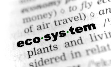 ekosistem - siyah ve beyaz metin, yeşil noktalar