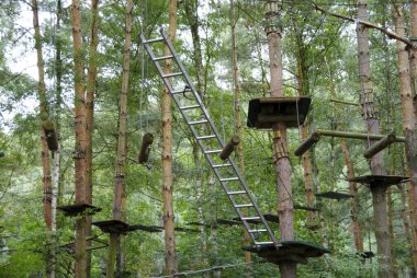 Yüksek ipler kursu - Ormandaki bir parka tırmanmak 