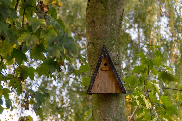 Τροφοδότης Πουλιών Ένα Δέντρο Στον Κήπο — Φωτογραφία Αρχείου