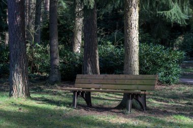 Parkta ahşap bir bank