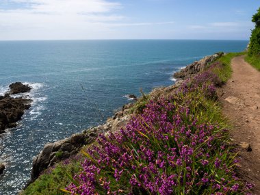 Güneşli bir günde Brittany 'nin kıyı şeridi boyunca manzara