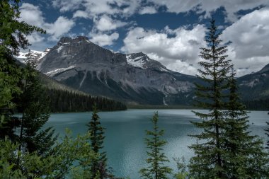 Landscape of the Emerald lake  like a bath of nature in Canada