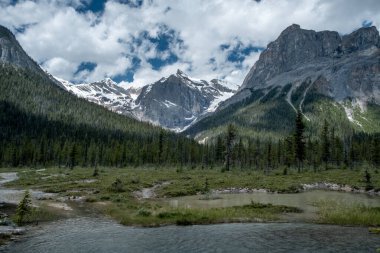 Landscape of mountains and forest at Emerald lake in Canada