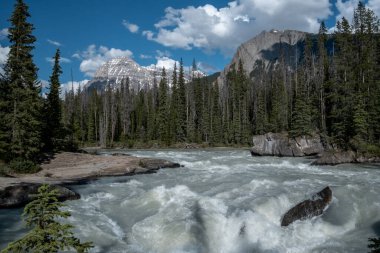 Beautiful landscape with strong river flow and mountains in Canada