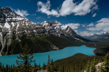 Landscape of lake Peyto with wonderful turquoise color in Canada