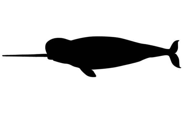 Boynuzlu balina siluet — Stok Vektör
