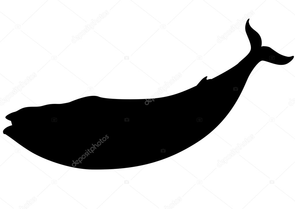 Blue whale silhouette