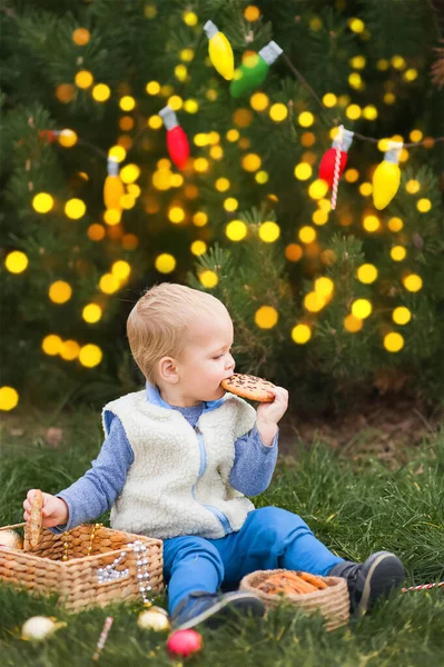 Roztomilé batole jíst vánoční cukroví s mlékem v zdobeném dvoře close-up a kopírovat prostor... — Stock fotografie
