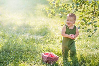 Yaz bahçesinde elmalı küçük mutlu çocuk.
