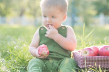 Odaklanamıyorum, web afişi. Lezzetli karpuz ve doğada küçük komik bir bebek. Karpuzla ilk çocuk beslemesi..