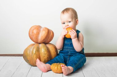 Kot pantolon ve balkabağı giymiş yakışıklı bir bebek. Çocukların tamamlayıcı beslenmesi, yeni yürümeye başlayan ilk sonbahar, Cadılar Bayramı, gıda alerjileri..
