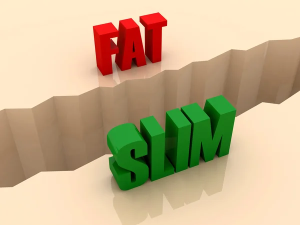 Duas palavras FAT e SLIM dividido em lados, rachadura de separação. Conceito ilustração 3D . — Fotografia de Stock