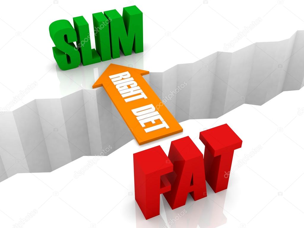 Right diet is the bridge from FAT to SLIM. Concept 3D illustration.