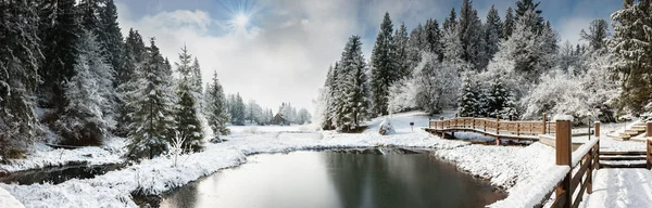 Panorama of a winter morning in the Carpathians