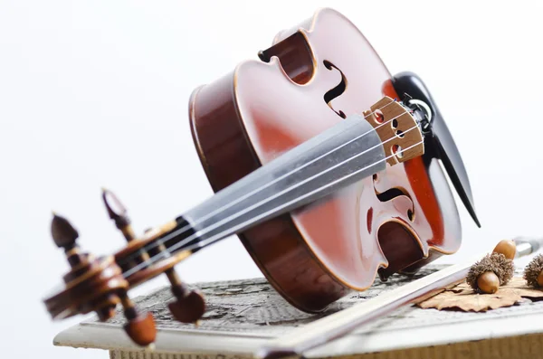 Violin — Stock Photo, Image