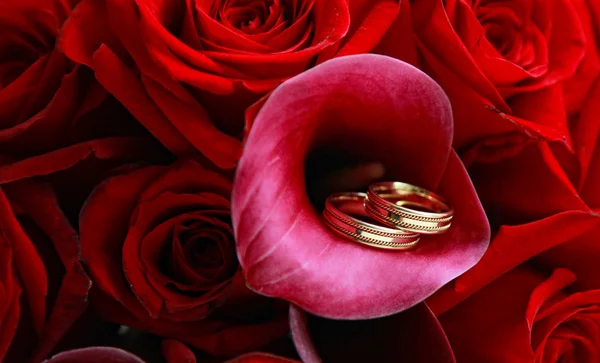 Wedding rings in the rose — Stock Photo, Image