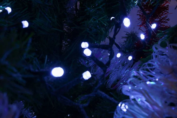 Close Van Kerstboom Verlichting Aan Boom Vakantie Kerstversiering — Stockfoto