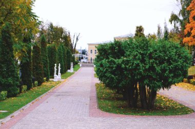 Yeşil kaldırım Yaz Şehir Parkı