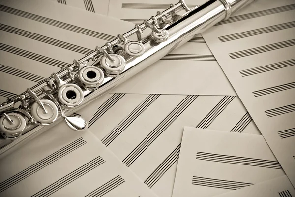 Upper middle joint of a professional silver flute on music sheets — Stock Photo, Image