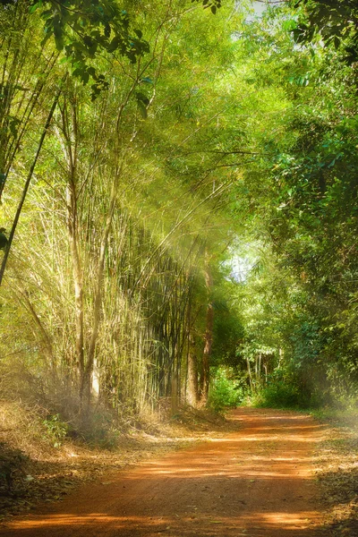 Carretera suburbana —  Fotos de Stock