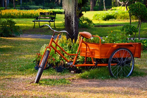 Bir üç tekerlekli bisiklet arka çiçekleri — Stok fotoğraf