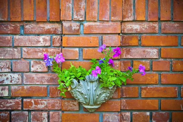 Flowers on a Brick Wall — Stock Photo, Image