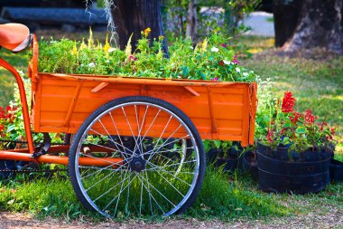 bir üç tekerlekli bisiklet arka çiçekleri