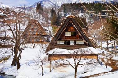 shirakawago ogimachi köyde yazlık