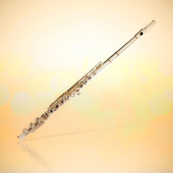 Silver Flute — Stock Photo, Image