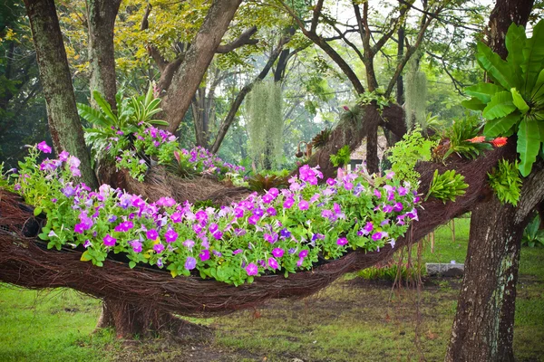 Floats flowerbed — Stock Photo, Image
