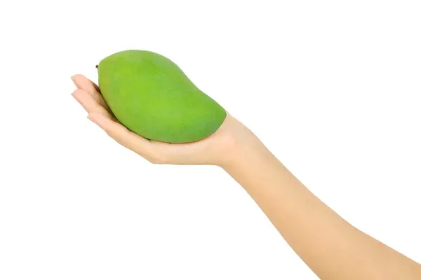 Izole kadın eli mango beyaz üzerinde tutar.. — Stok fotoğraf