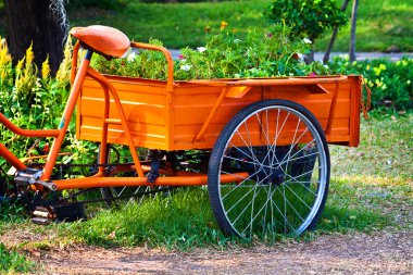 bir üç tekerlekli bisiklet arka çiçekleri