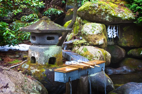 Japanese Water Dipper — Stock Photo, Image