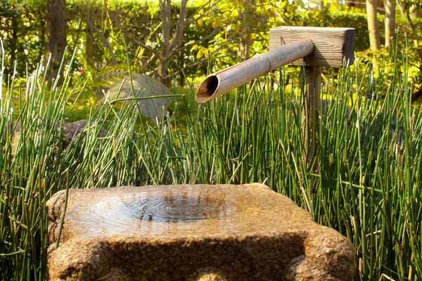 Acqua da un tubo di bambù — Foto Stock