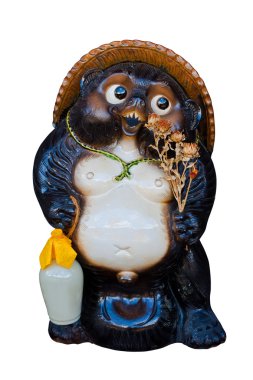 Japon Rakun köpeği