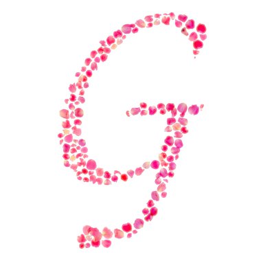 gül yaprakları üzerinde beyaz izole ile oluşan g alfabesi