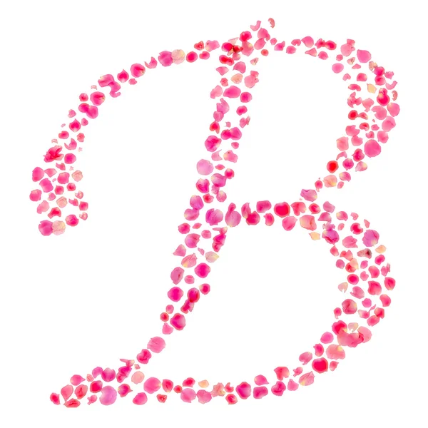 B Alfabeto compuesto con hojas de rosa aisladas en blanco — Foto de Stock
