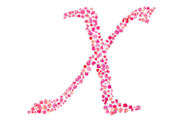 X alfabet składa się z liści róży na białym tle — Zdjęcie stockowe