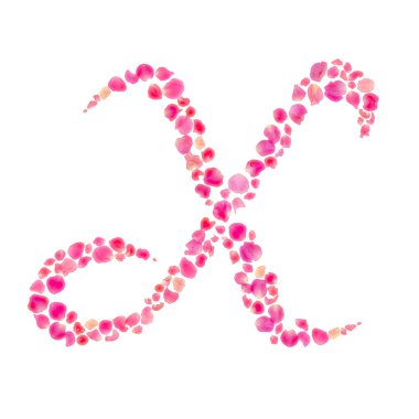 gül yaprakları üzerinde beyaz izole ile oluşan alfabe x