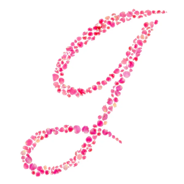 Alfabeto G compuesto con hojas de rosa aisladas en blanco — Foto de Stock